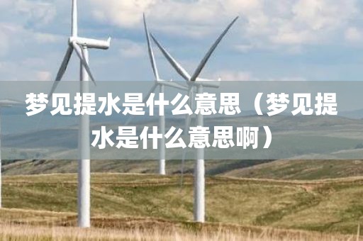 梦见提水是什么意思（梦见提水是什么意思啊）