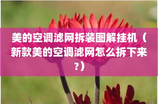 美的空调滤网拆装图解挂机（新款美的空调滤网怎么拆下来?）