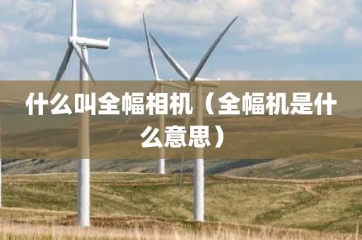 什么叫全幅相机（全幅机是什么意思）