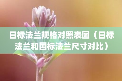 日标法兰规格对照表图（日标法兰和国标法兰尺寸对比）
