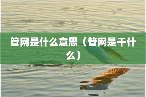 管网是什么意思（管网是干什么）