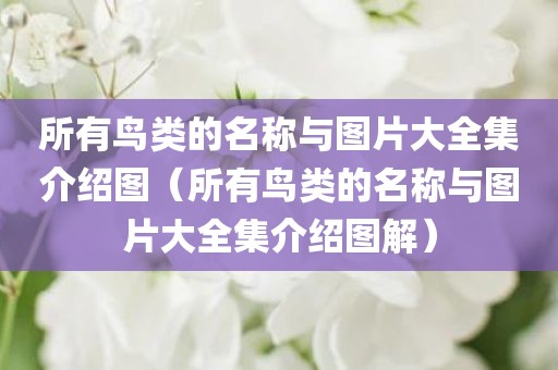所有鸟类的名称与图片大全集介绍图（所有鸟类的名称与图片大全集介绍图解）