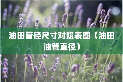 油田管径尺寸对照表图（油田油管直径）