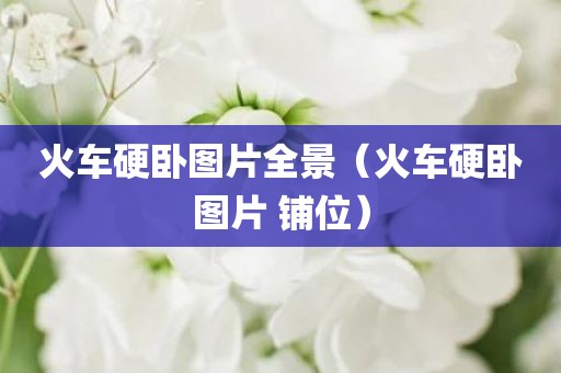 火车硬卧图片全景（火车硬卧图片 铺位）