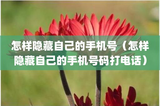 怎样隐藏自己的手机号（怎样隐藏自己的手机号码打电话）