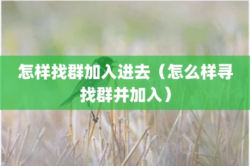 怎样找群加入进去（怎么样寻找群并加入）