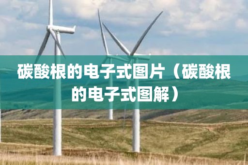 碳酸根的电子式图片（碳酸根的电子式图解）