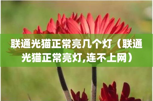 联通光猫正常亮几个灯（联通光猫正常亮灯,连不上网）