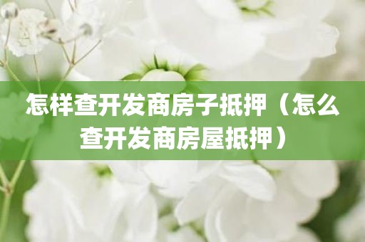 怎样查开发商房子抵押（怎么查开发商房屋抵押）