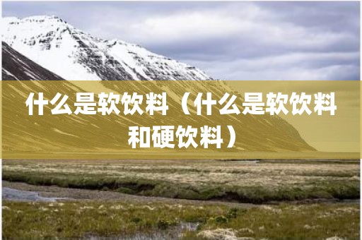 什么是软饮料(什么是软饮料和硬饮料)