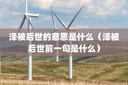 泽被后世的意思是什么（泽被后世前一句是什么）