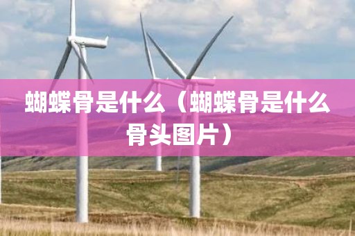 蝴蝶骨是什么（蝴蝶骨是什么骨头图片）
