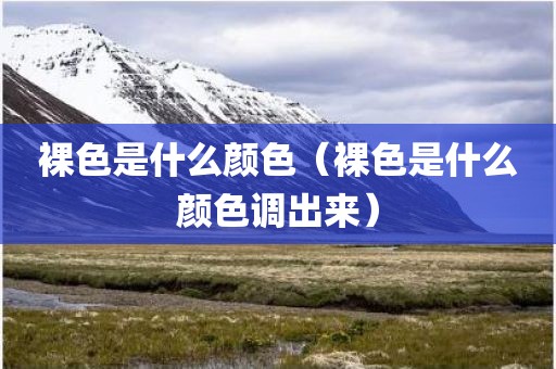 裸色是什么颜色（裸色是什么颜色调出来）