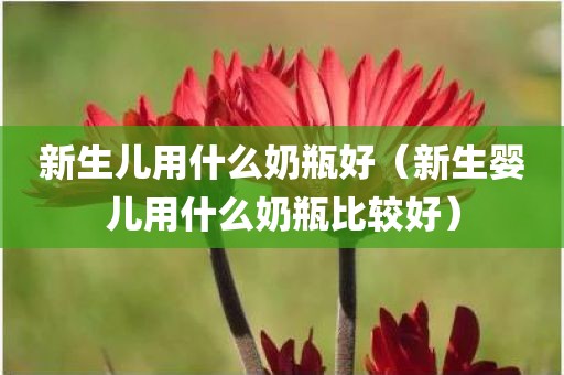 新生儿用什么奶瓶好（新生婴儿用什么奶瓶比较好）
