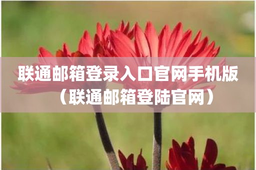 联通邮箱登录入口官网手机版（联通邮箱登陆官网）