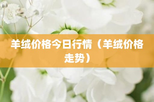 羊绒价格今日行情（羊绒价格走势）