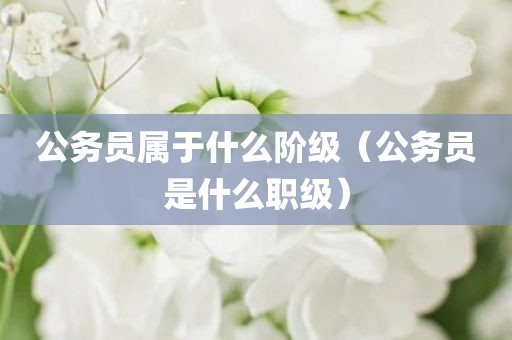 公务员属于什么阶级(公务员是什么职级)