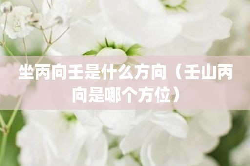 坐丙向壬是什么方向（壬山丙向是哪个方位）