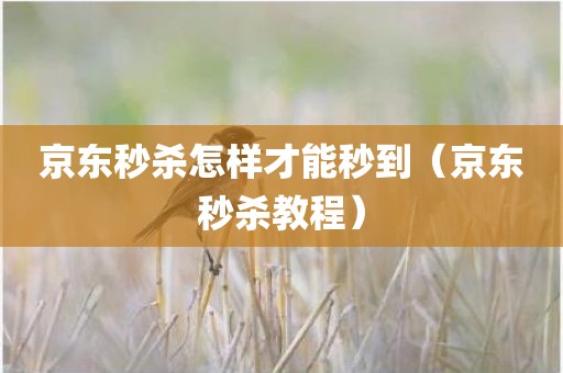 京东秒杀怎样才能秒到（京东秒杀教程）