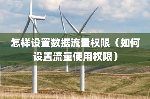 怎样设置数据流量权限（如何设置流量使用权限）
