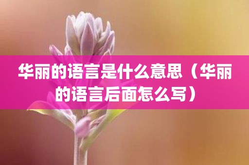 华丽的语言是什么意思（华丽的语言后面怎么写）