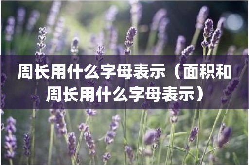 周长用什么字母表示（面积和周长用什么字母表示）