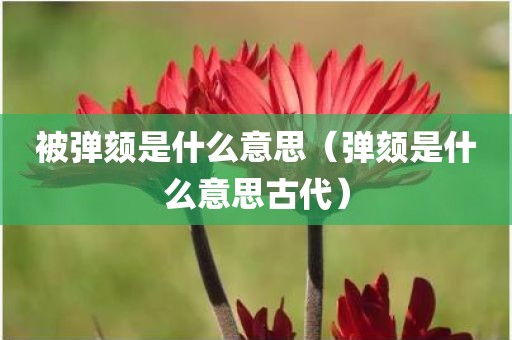 被弹颏是什么意思（弹颏是什么意思古代）