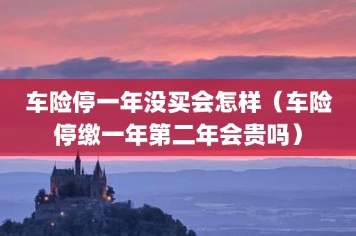 车险停一年没买会怎样（车险停缴一年第二年会贵吗）
