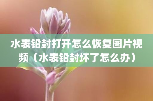 水表铅封打开怎么恢复图片视频（水表铅封坏了怎么办）