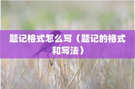 题记格式怎么写（题记的格式和写法）