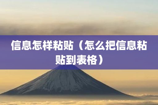 信息怎样粘贴（怎么把信息粘贴到表格）