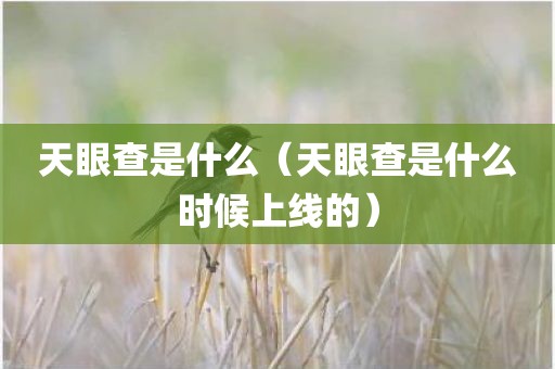 天眼查是什么(天眼查是什么时候上线的)