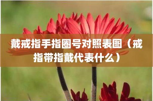 戴戒指手指圈号对照表图（戒指带指戴代表什么）