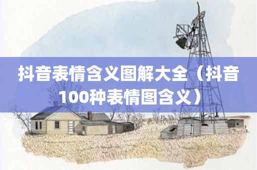 抖音表情含义图解大全（抖音100种表情图含义）
