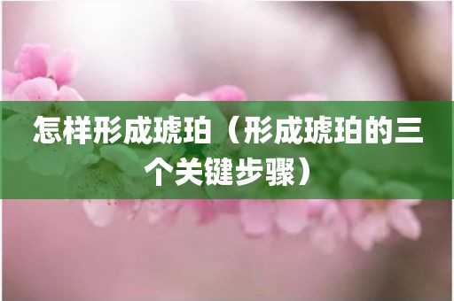怎样形成琥珀（形成琥珀的三个关键步骤）