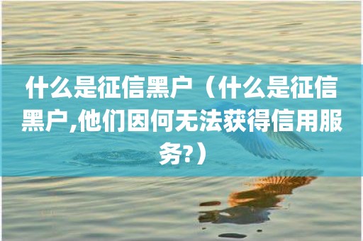 什么是征信黑户（什么是征信黑户,他们因何无法获得信用服务?）