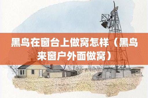 黑鸟在窗台上做窝怎样（黑鸟来窗户外面做窝）