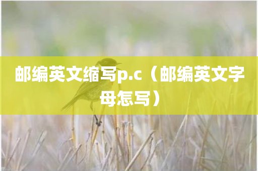 邮编英文缩写p.c(邮编英文字母怎写)