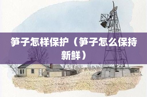 笋子怎样保护（笋子怎么保持新鲜）