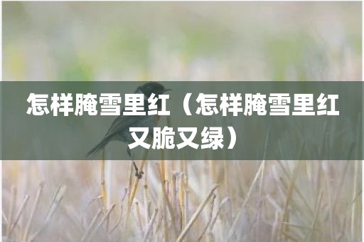 怎样腌雪里红（怎样腌雪里红又脆又绿）