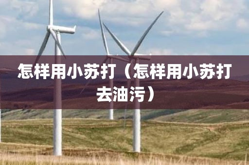 怎样用小苏打（怎样用小苏打去油污）