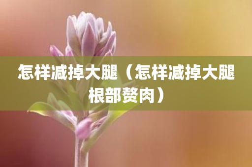 怎样减掉大腿（怎样减掉大腿根部赘肉）