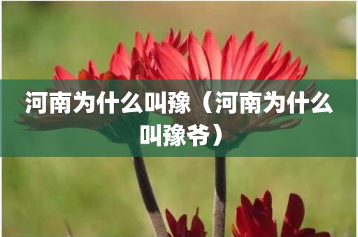 河南为什么叫豫（河南为什么叫豫爷）