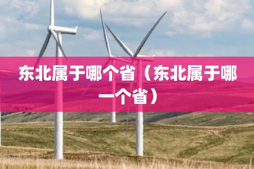 东北属于哪个省（东北属于哪一个省）