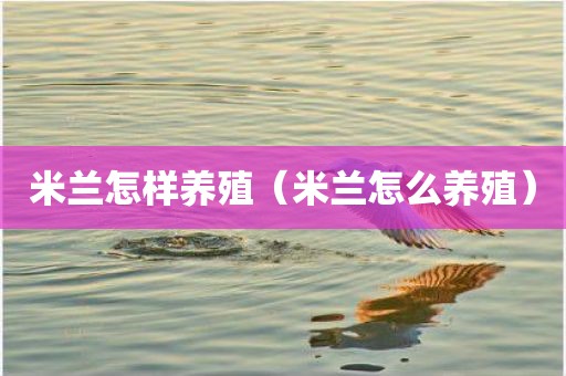 米兰怎样养殖（米兰怎么养殖）
