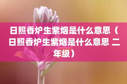 日照香炉生紫烟是什么意思（日照香炉生紫烟是什么意思 二年级）