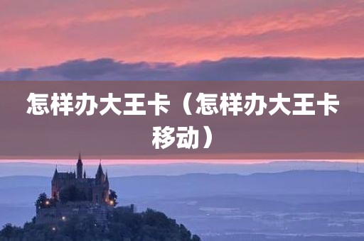 怎样办大王卡（怎样办大王卡移动）
