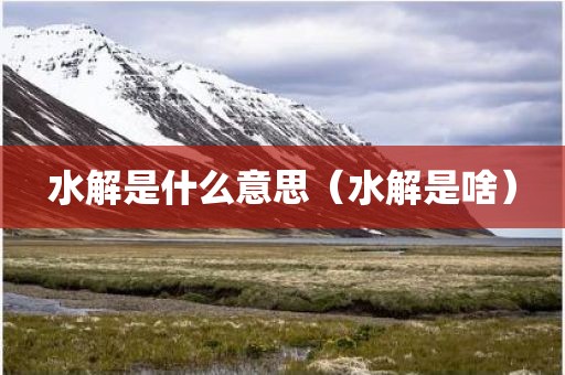 水解是什么意思（水解是啥）