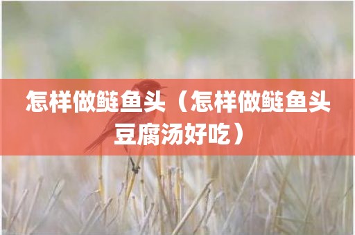 怎样做鲢鱼头（怎样做鲢鱼头豆腐汤好吃）