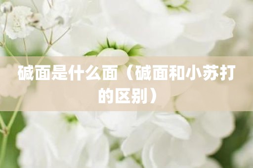 碱面是什么面（碱面和小苏打的区别）